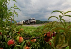Norfolk Southern report highlights progress on sustainability, safety, innovation, employee and community engagement